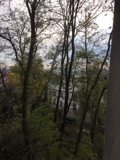 RUE GABRIELLE, 32 M2 / Appartement situé au 4e et dernier étage sans ascenseur dans un immeuble typique Montmartre.