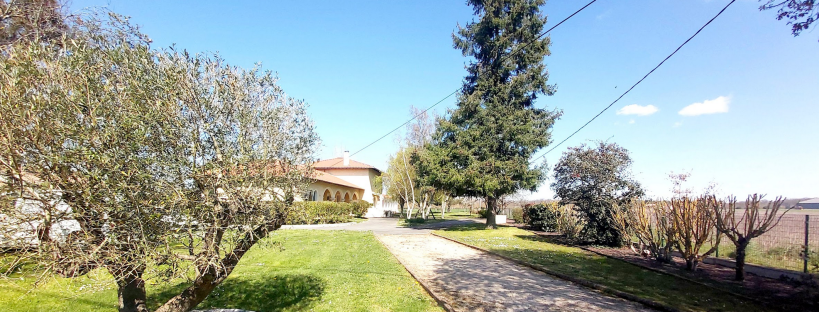 Maison à Montech même de 306 m² avec piscine couverte sur 3200m² constructible composé de : 194 m² avec 4 chambres et une grande Mezzanine de 27m²/ 2 salle de bain / 2 WC / 1 grand salon / 1 buanderie de 10m² 1 espace détente piscine chauffée sécurisée de 112 m² (pompe à chaleur) 1 Garage de 37 m² 1 jardin arboré constructible (3200m²) avec un terrain de pétanque.